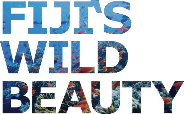 Fiji's Wild Beauty